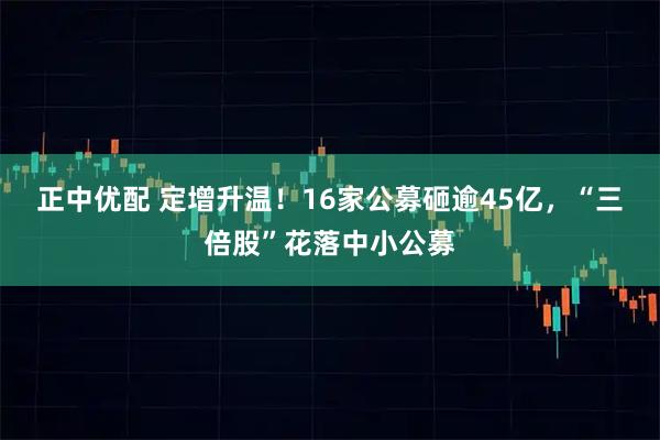 正中优配 定增升温!16家公募砸逾45亿,“三倍股”花落中小公募