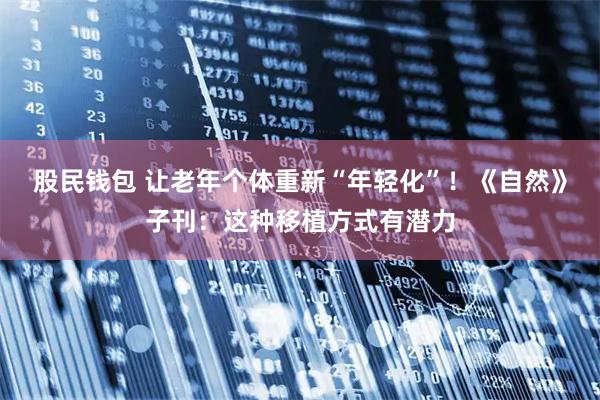 股民钱包 让老年个体重新“年轻化”！《自然》子刊：这种移植方式有潜力