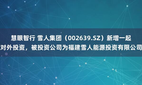 慧眼智行 雪人集团（002639.SZ）新增一起对外投资，被投资公司为福建雪人能源投资有限公司