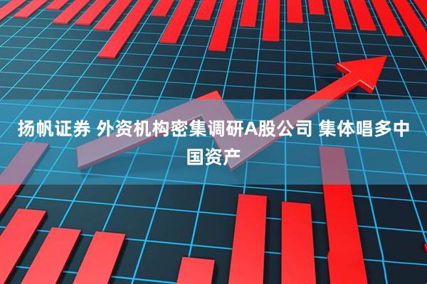 扬帆证券 外资机构密集调研A股公司 集体唱多中国资产